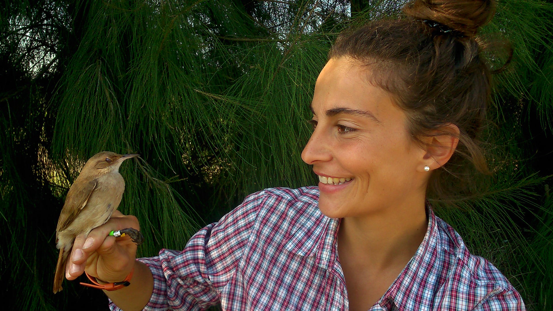 La científica Lucía Mentesana fue parte del equipo que recibió un total de 13.805 fotografías de nidos de horneros