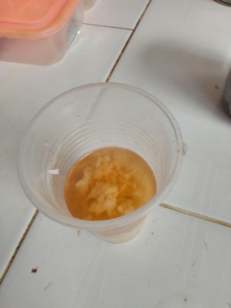 Prisoners Defenders denunció que 90.000 presos sufren daños irreversibles por desnutrición y condiciones inhumanas en Cuba