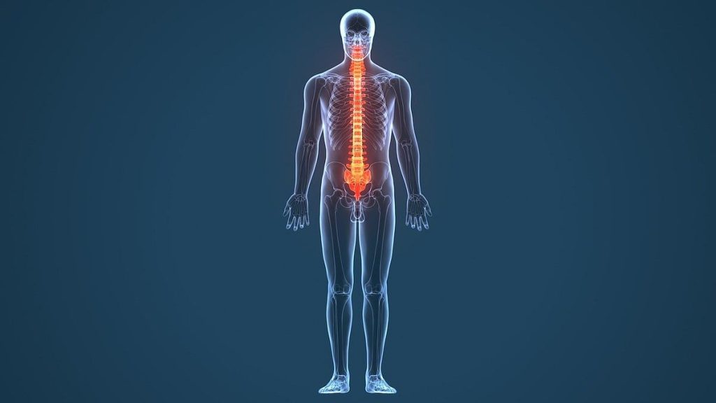 Traje biónico controlado mentalmente permite a los pacientes paralizados sentir cada paso
