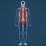 Traje biónico controlado mentalmente permite a los pacientes paralizados sentir cada paso