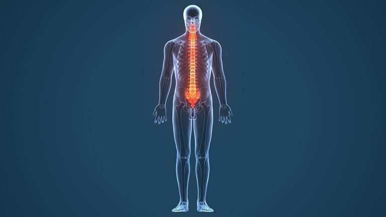 Traje biónico controlado mentalmente permite a los pacientes paralizados sentir cada paso