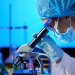 Un estudio reveló que el microbioma intestinal podría anticipar el riesgo de la enfermedad de Parkinson