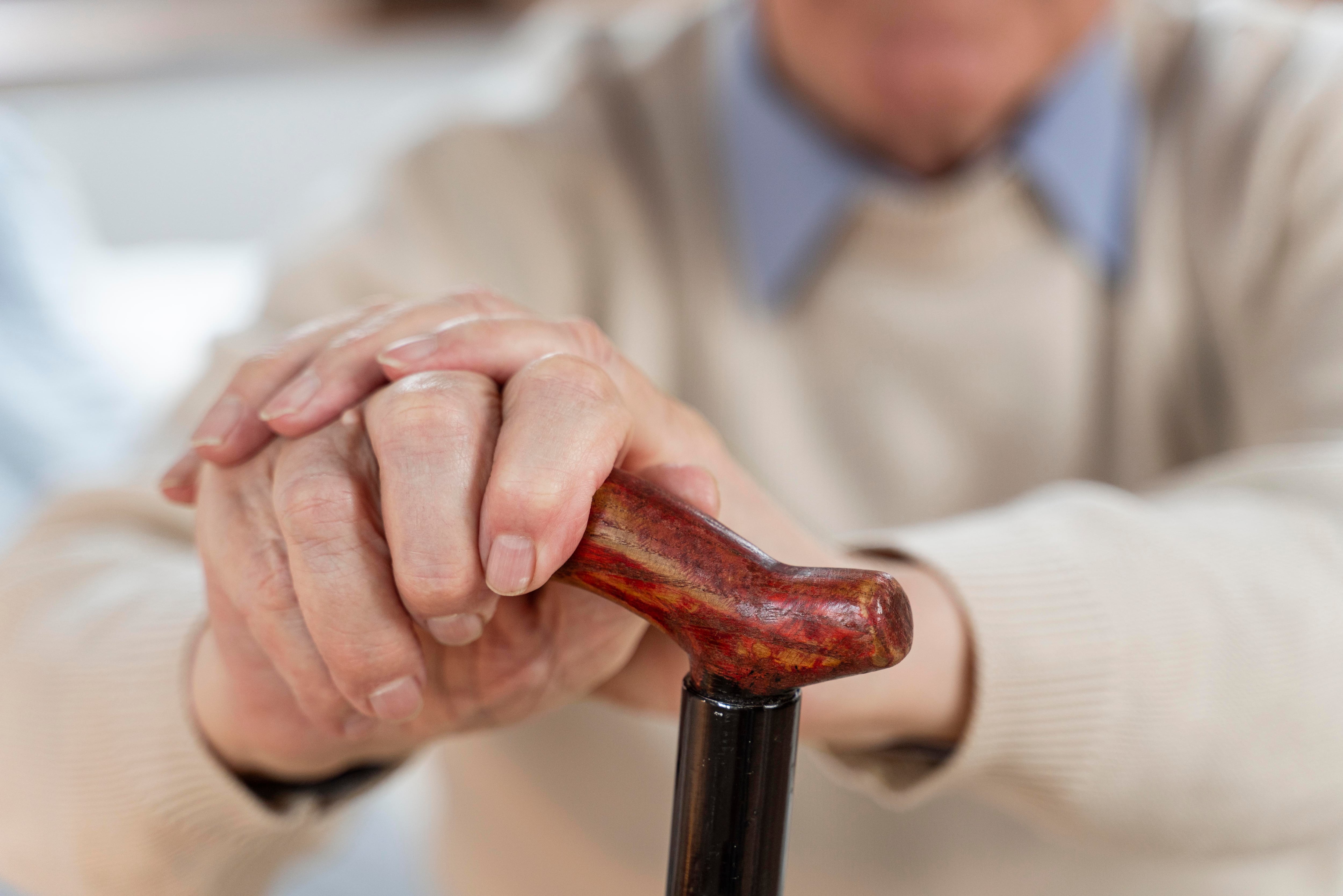 El consumo de dieta variada y equilibrada puede asociarse a menor presencia de bacterias vinculadas al riesgo de Parkinson, según expertos en microbioma intestinal y alimentación./Archivo Freepik
