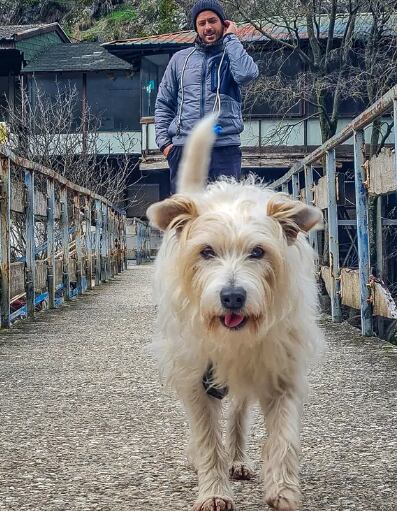 Ettore, su perro callejero, los acompaña en todas sus travesías