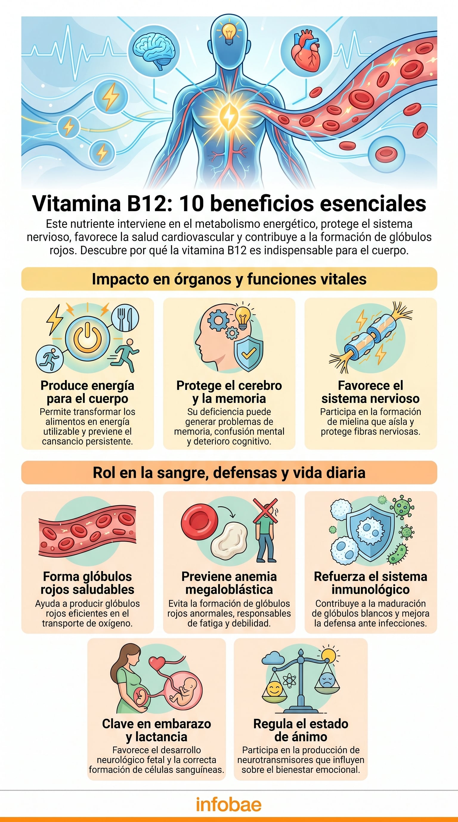 La vitamina B12 protege la salud cerebral y el sistema nervioso, ayudando a evitar el daño neurológico irreversible por deficiencia (Imagen Ilustrativa Infobae)