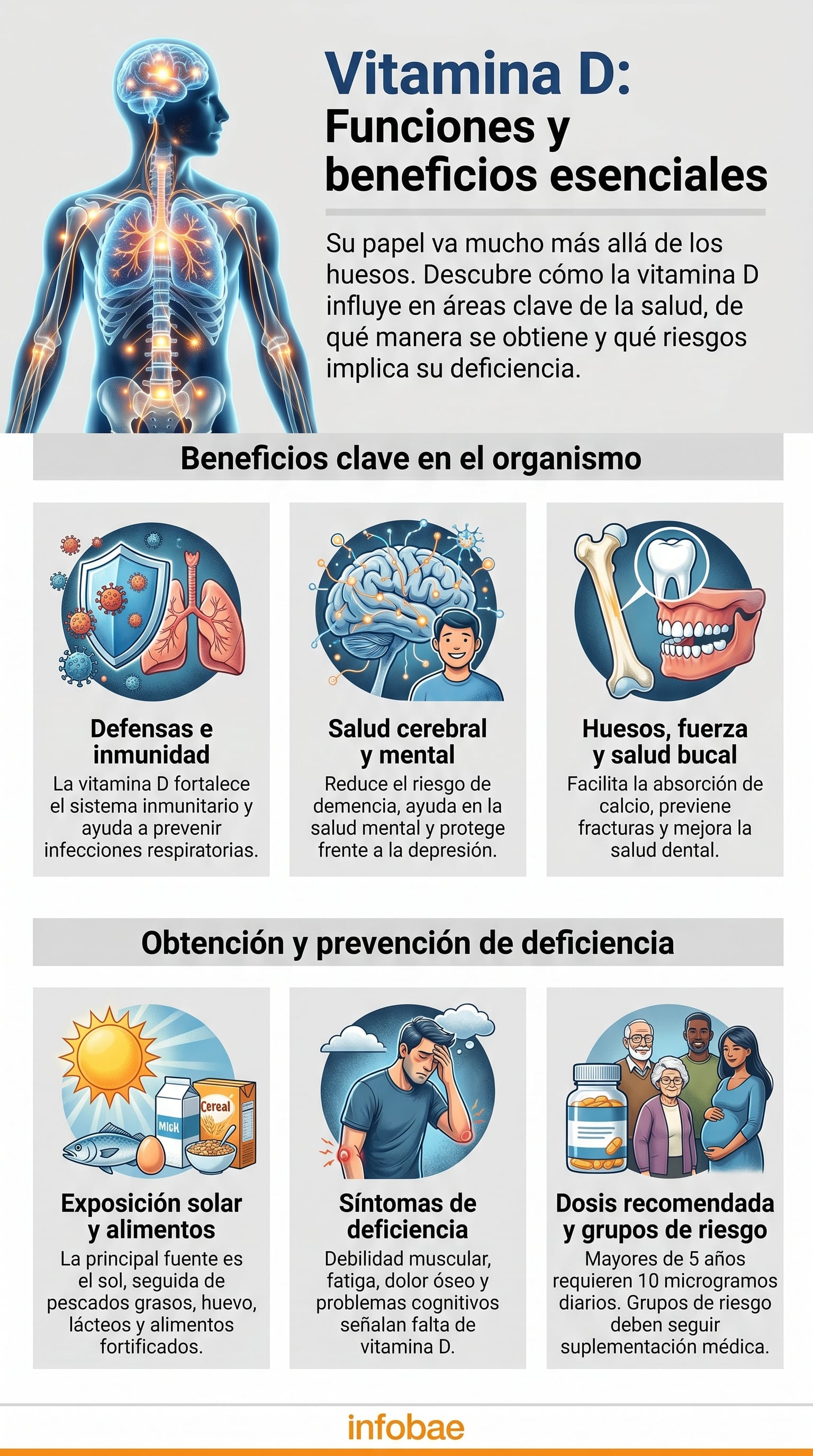 Esta infografía ilustra los beneficios esenciales de la Vitamina D para la salud, sus principales fuentes de obtención y los síntomas asociados a su deficiencia, destacando su importancia integral en el organismo. (Imagen Ilustrativa Infobae)