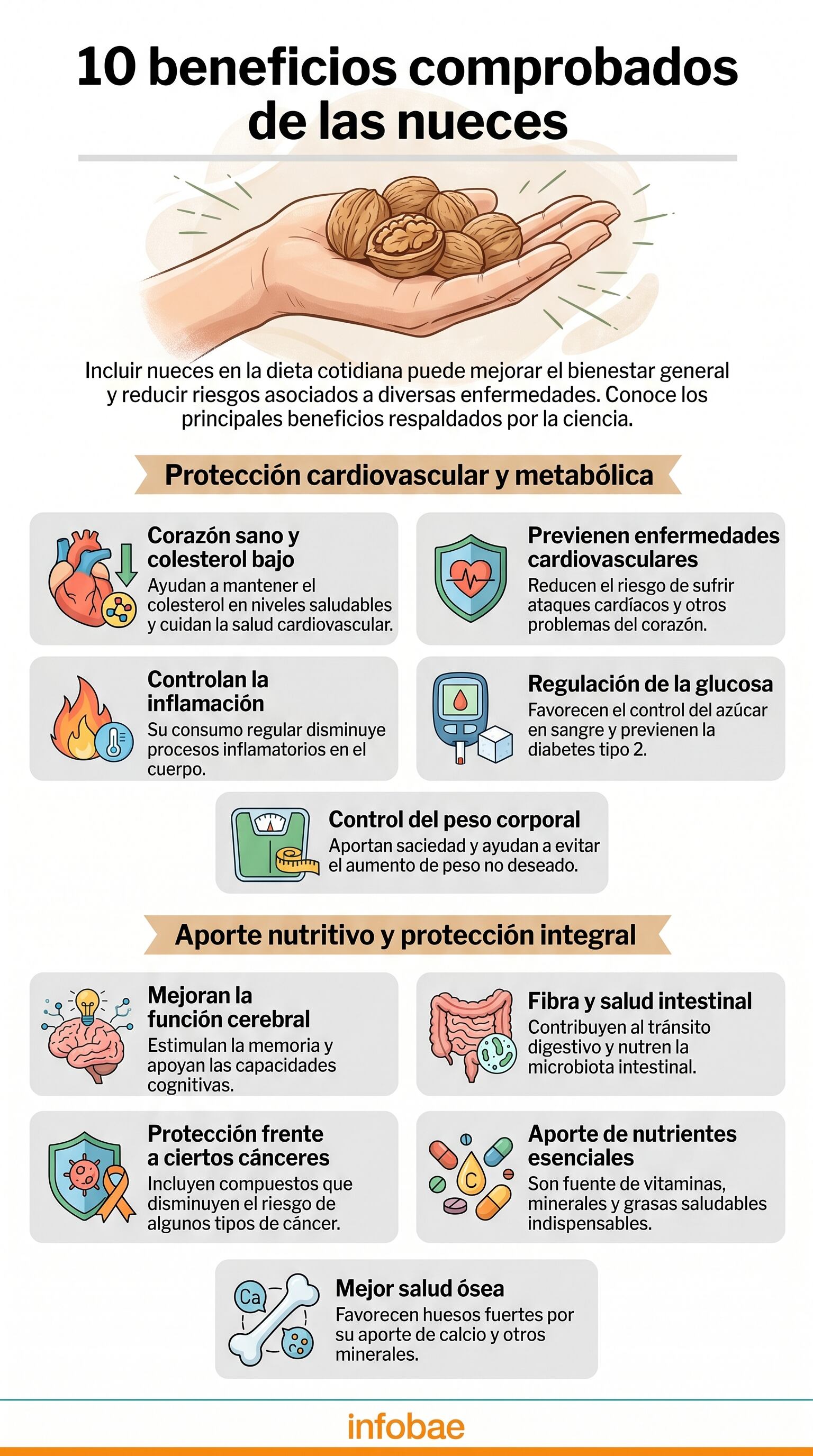 Una infografía detallada ilustra los diez beneficios comprobados de incluir nueces en la dieta diaria, abarcando desde la salud cardiovascular hasta la mejora de la función cerebral y ósea. (Imagen Ilustrativa Infobae)