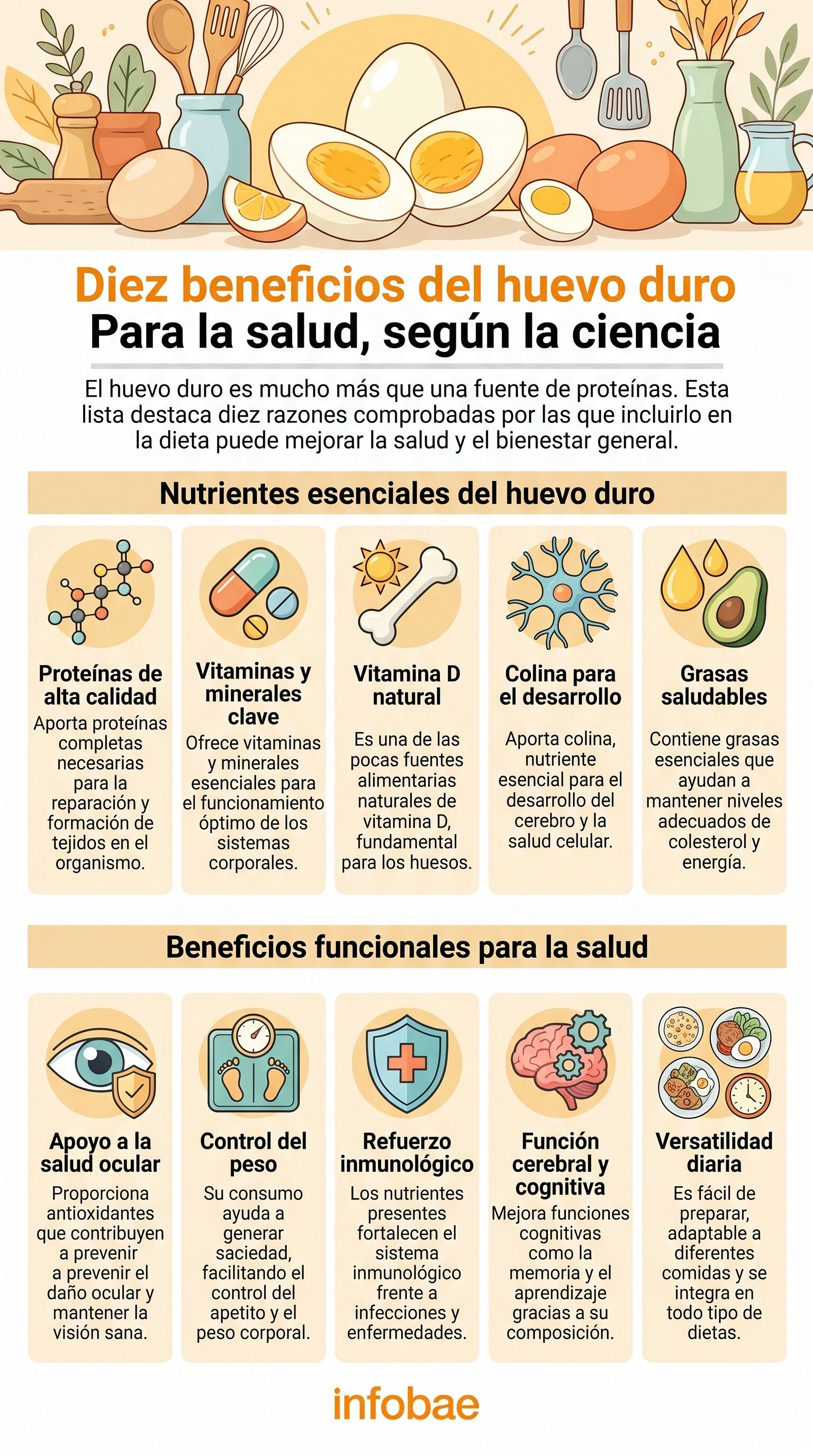 Esta infografía detalla los diez beneficios comprobados del huevo duro para la salud, incluyendo su aporte de proteínas, vitaminas, colina y grasas saludables, así como su impacto en la visión, control de peso, inmunidad, función cerebral y versatilidad en la dieta diaria. (Imagen Ilustrativa Infobae)