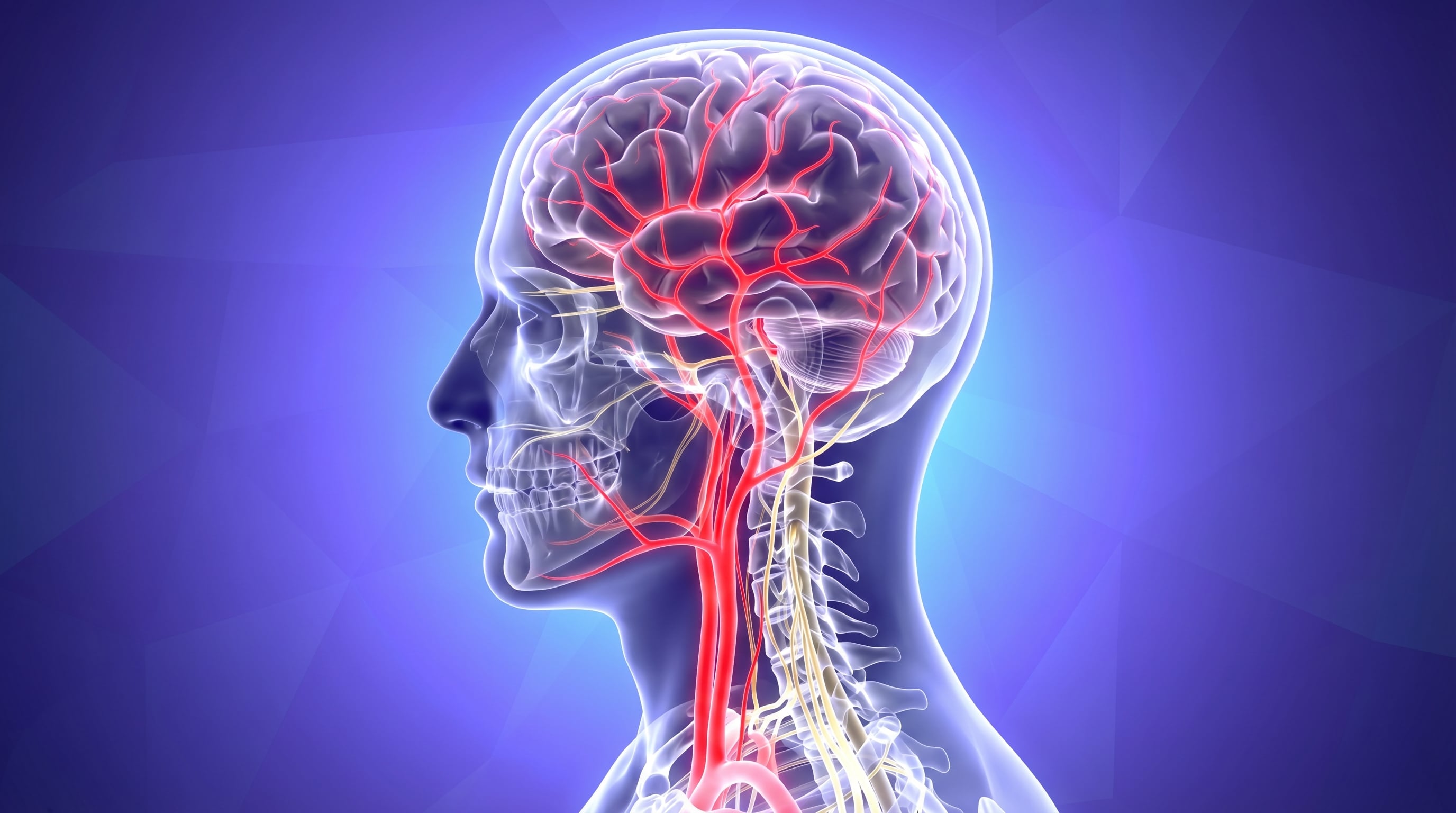 El daño nervioso, conocido como neuropatía, provoca fallos en las comunicaciones internas del cuerpo y síntomas como molestias o pérdida de sensibilidad (Imagen Ilustrativa Infobae)