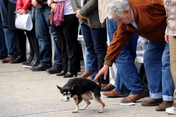 A un año de la muerte de José Mujica: el emotivo recuerdo de su viuda Lucía Topolansky y los homenajes en Uruguay