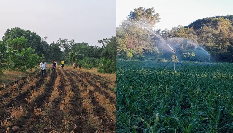 Zonas como Valle, Choluteca, el sur de Francisco Morazán y La Paz enfrentarán una canícula prolongada y el nivel de lluvias caerá drásticamente en julio. (Cortesía)