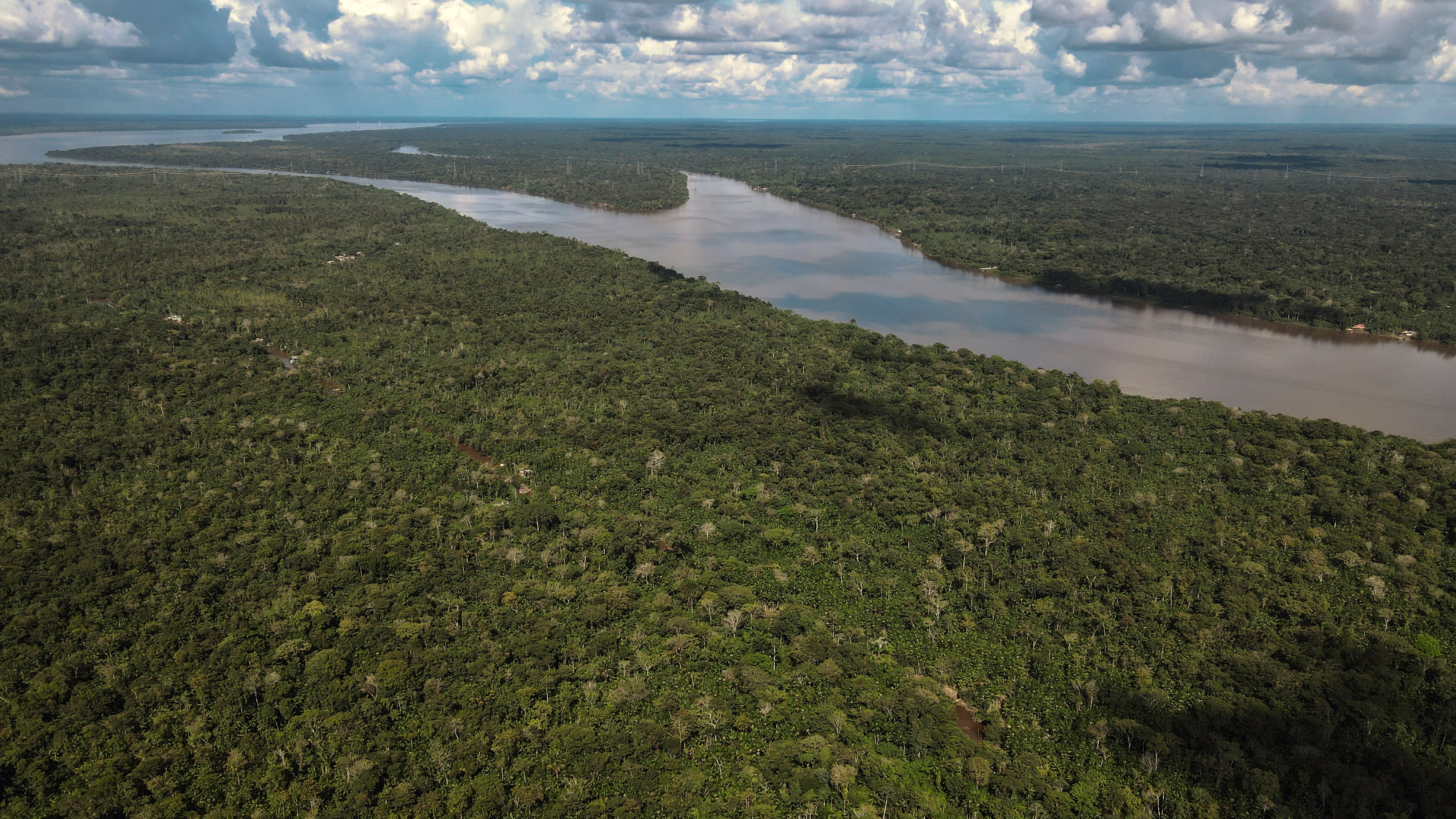 La nueva ley ambiental de Brasil transfiere la autorización de deforestación a autoridades locales y debilita los controles federales de protección (EFE/ Antonio Lacerda)