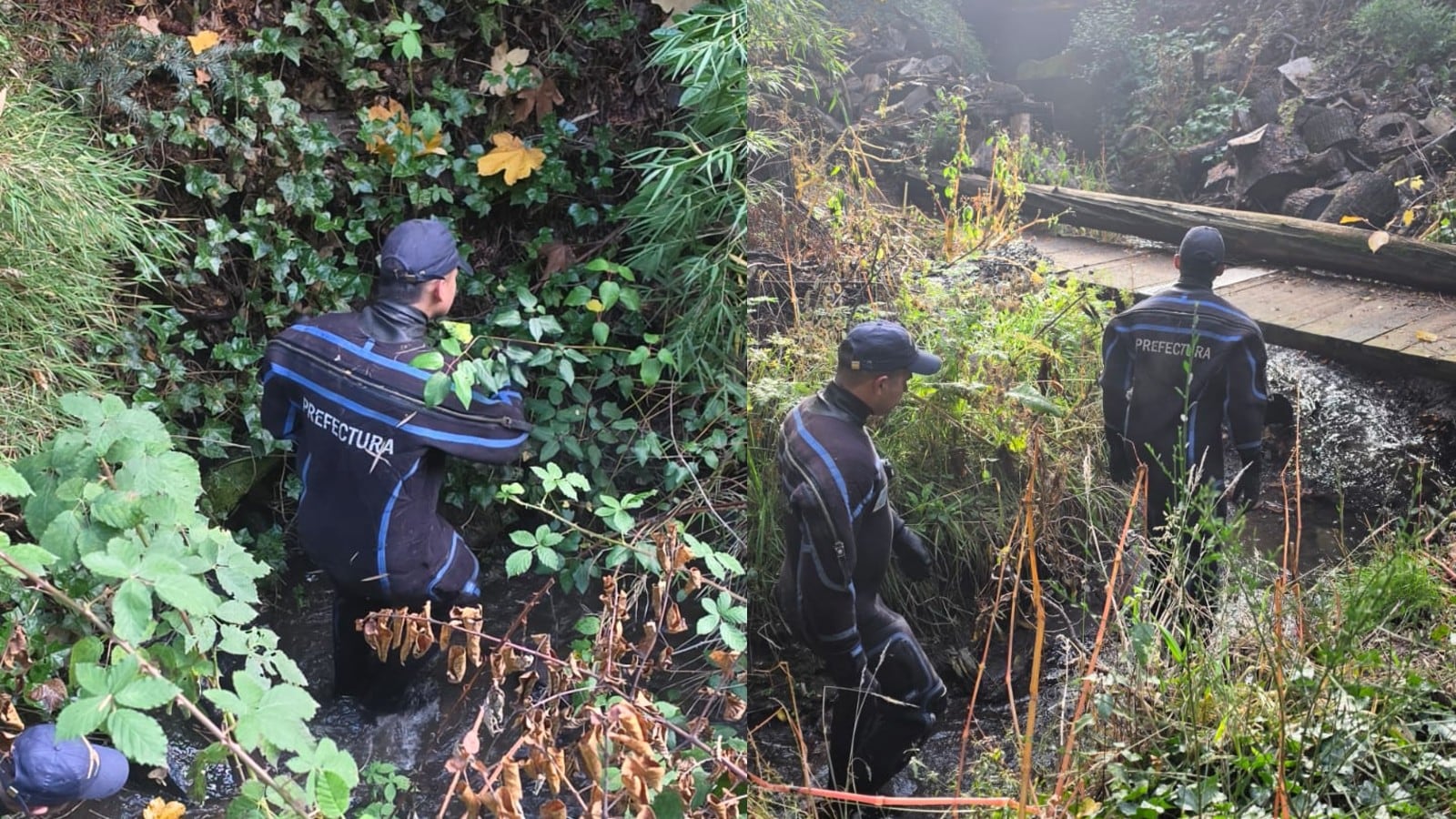 Efectivos de la Policía de Río Negro coordinan el rastrillaje en la zona del kilómetro 6 de Bariloche