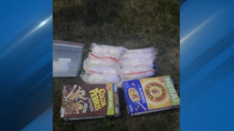 Condenan en EEUU a hondureño que traficaba fentanilo y metanfetamina ocultos en cajas de cereal