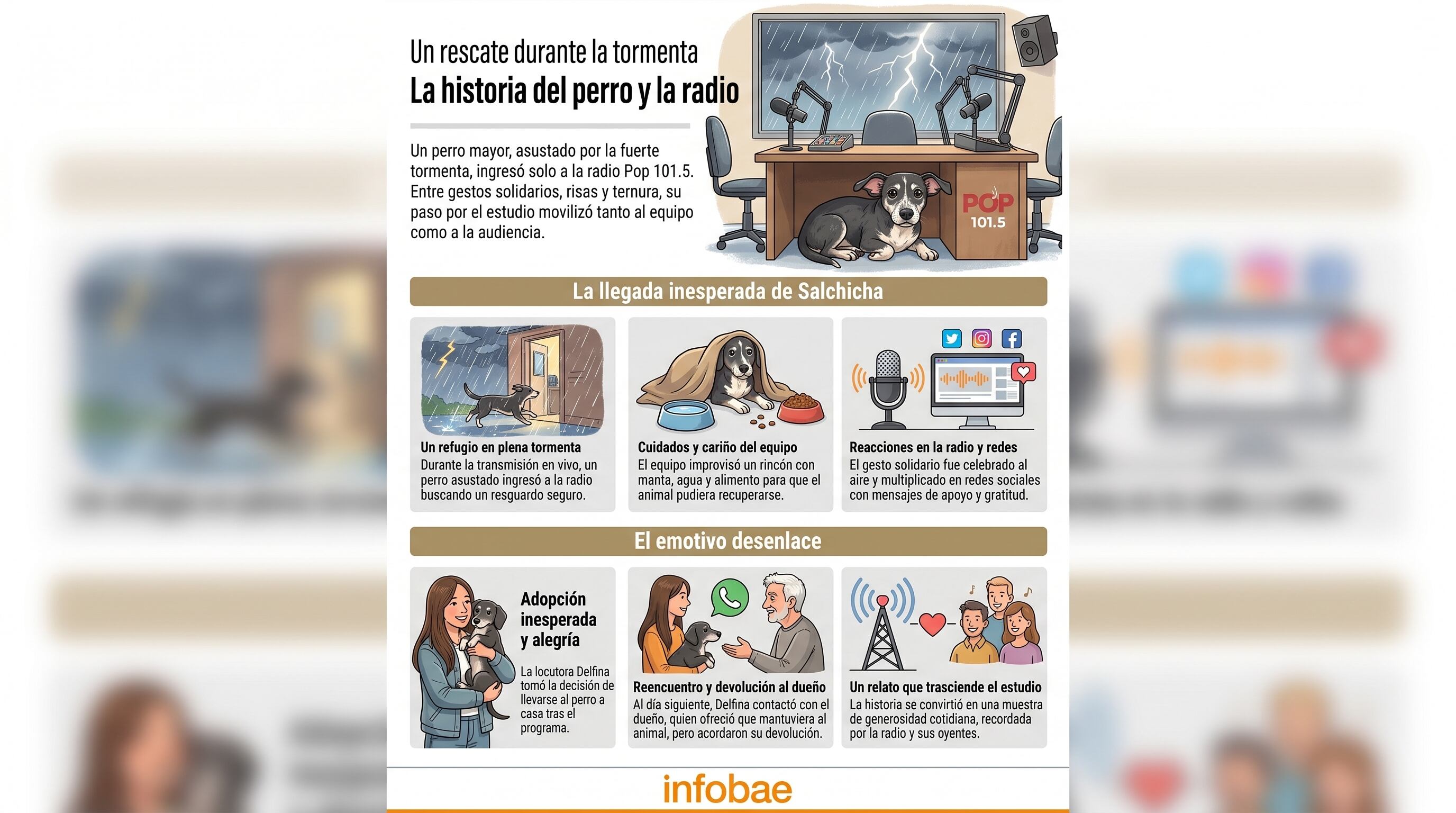 Un perro asustado por la tormenta encontró refugio en Pop Radio 101.5, generando una emotiva cadena de solidaridad entre el equipo y su eventual dueño. (Imagen Ilustrativa Infobae)