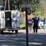 Corrientes: una yarará atacó a una mujer mientras buscaba yuyos para el mate en el patio de su casa