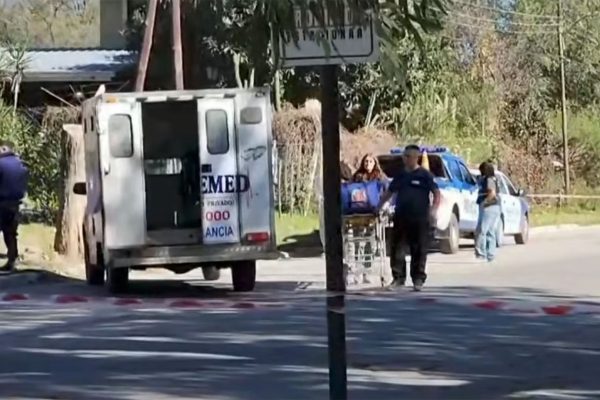 Corrientes: una yarará atacó a una mujer mientras buscaba yuyos para el mate en el patio de su casa