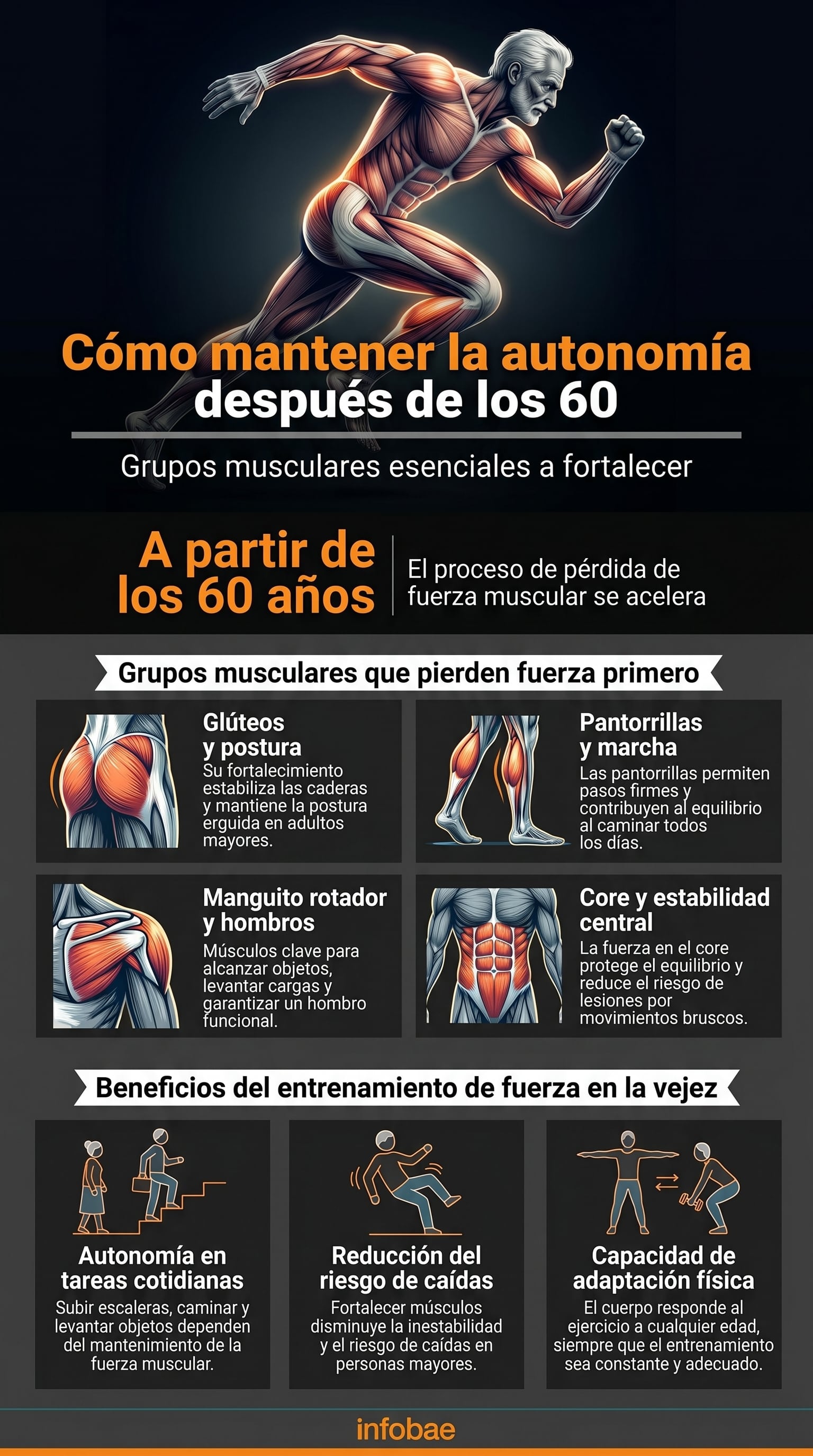 El entrenamiento de fuerza ayuda a frenar el deterioro muscular relacionado con la edad y preserva la capacidad funcional en la vejez (Imagen Ilustrativa Infobae)