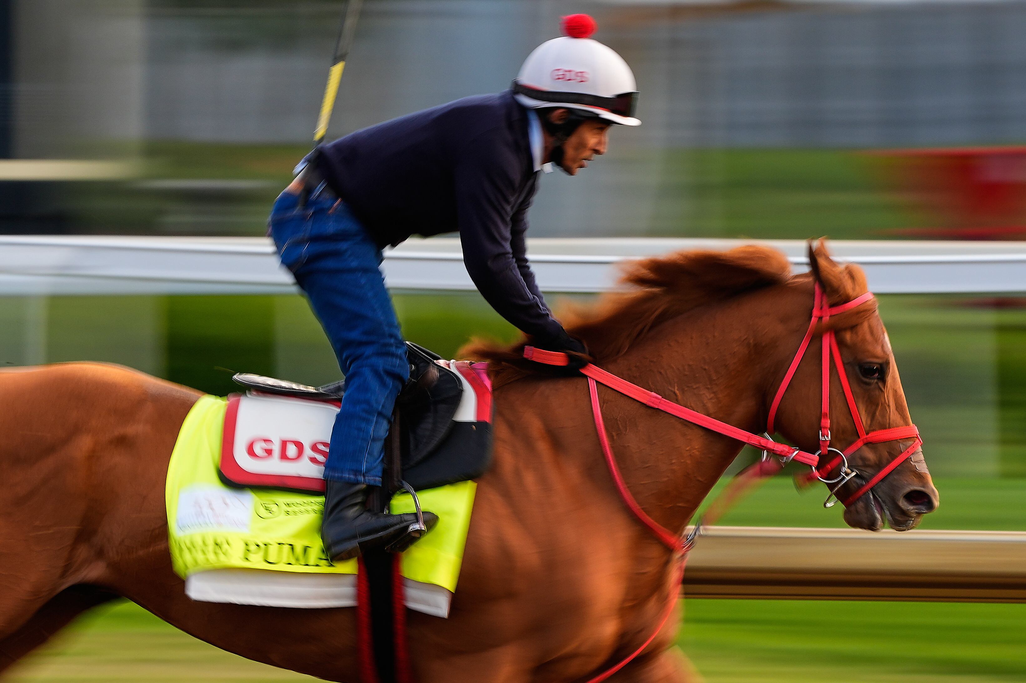 La cría y el adiestramiento del caballo deportivo en Argentina exige cuidados especializados y regulaciones estrictas para garantizar calidad y bienestar animal (AP Foto/Charlie Riedel)