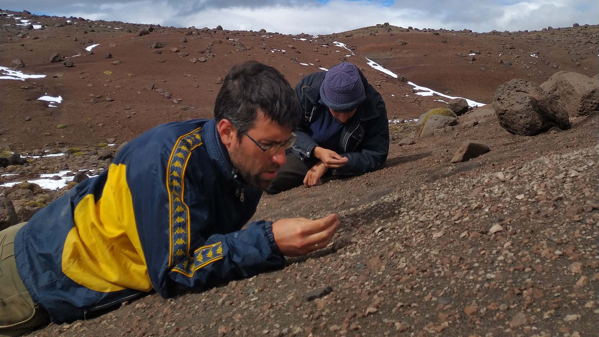 Los fósiles aparecieron cerca de El Calafate, un paisaje hoy árido y ventoso que hace 66 millones de años era un ambiente húmedo de ríos, lagunas y vegetación abundante (M. Motta - MACN/Conicet)