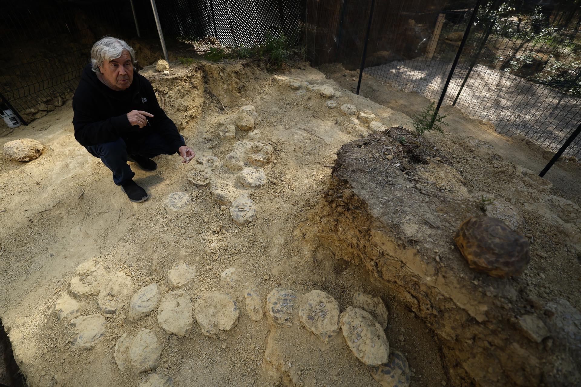 Descubren huevos fósiles de titanosaurio en Francia con una conexión directa a la Patagonia argentina