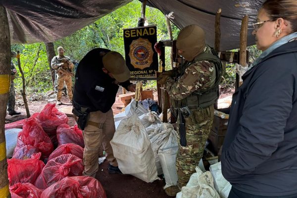 Destruyeron en Paraguay casi ocho toneladas de marihuana destinadas al mercado brasileño