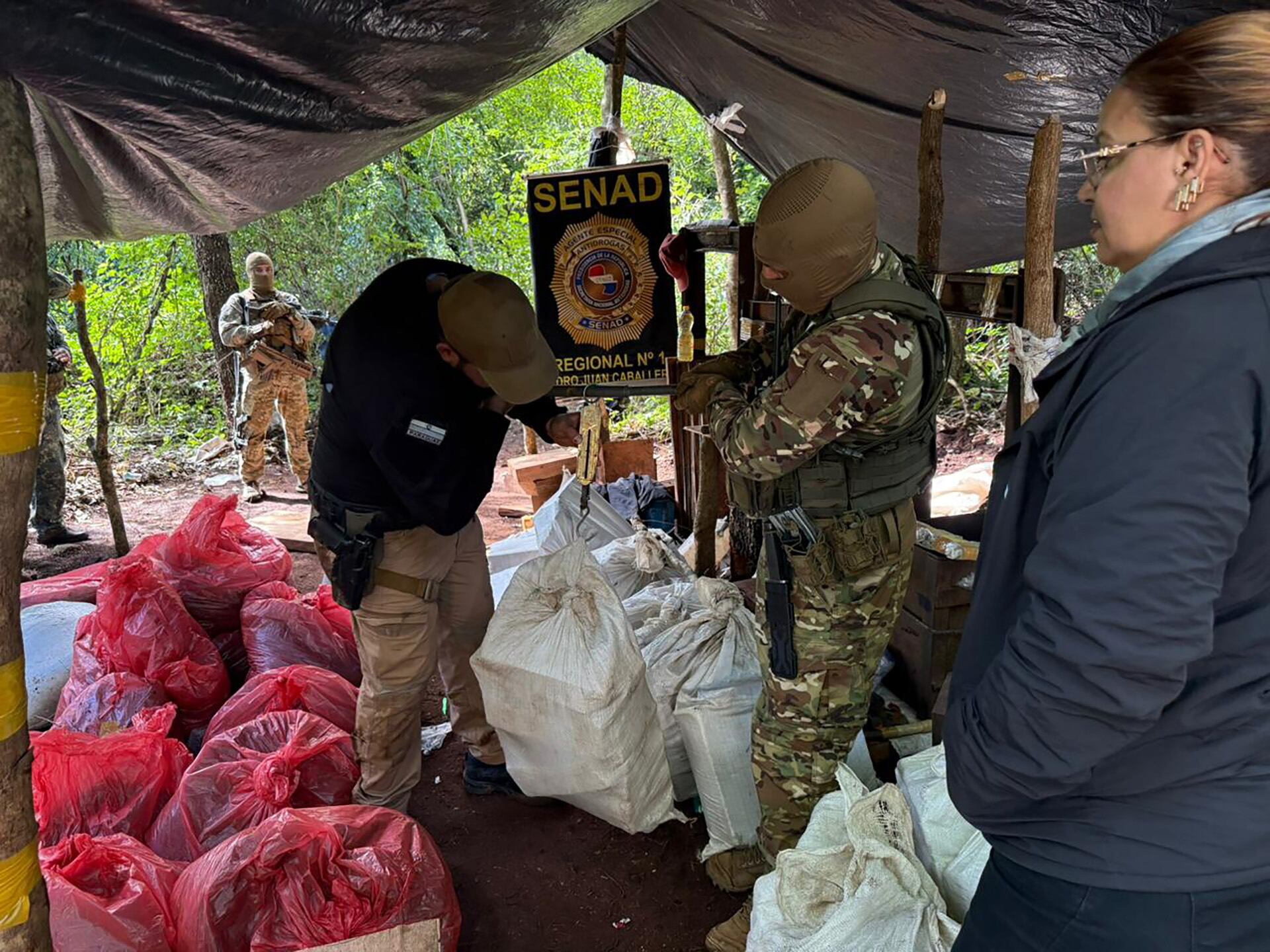 Destruyeron en Paraguay casi ocho toneladas de marihuana destinadas al mercado brasileño