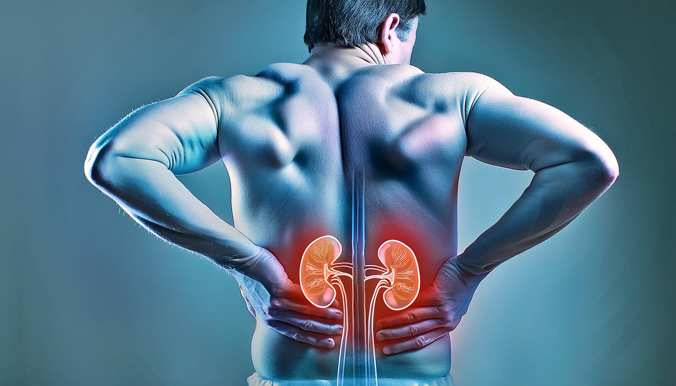 El exceso de proteína aumenta la carga de trabajo y los residuos filtrados por los riñones, elevando el riesgo de daño renal (Imagen Ilustrativa Infobae)