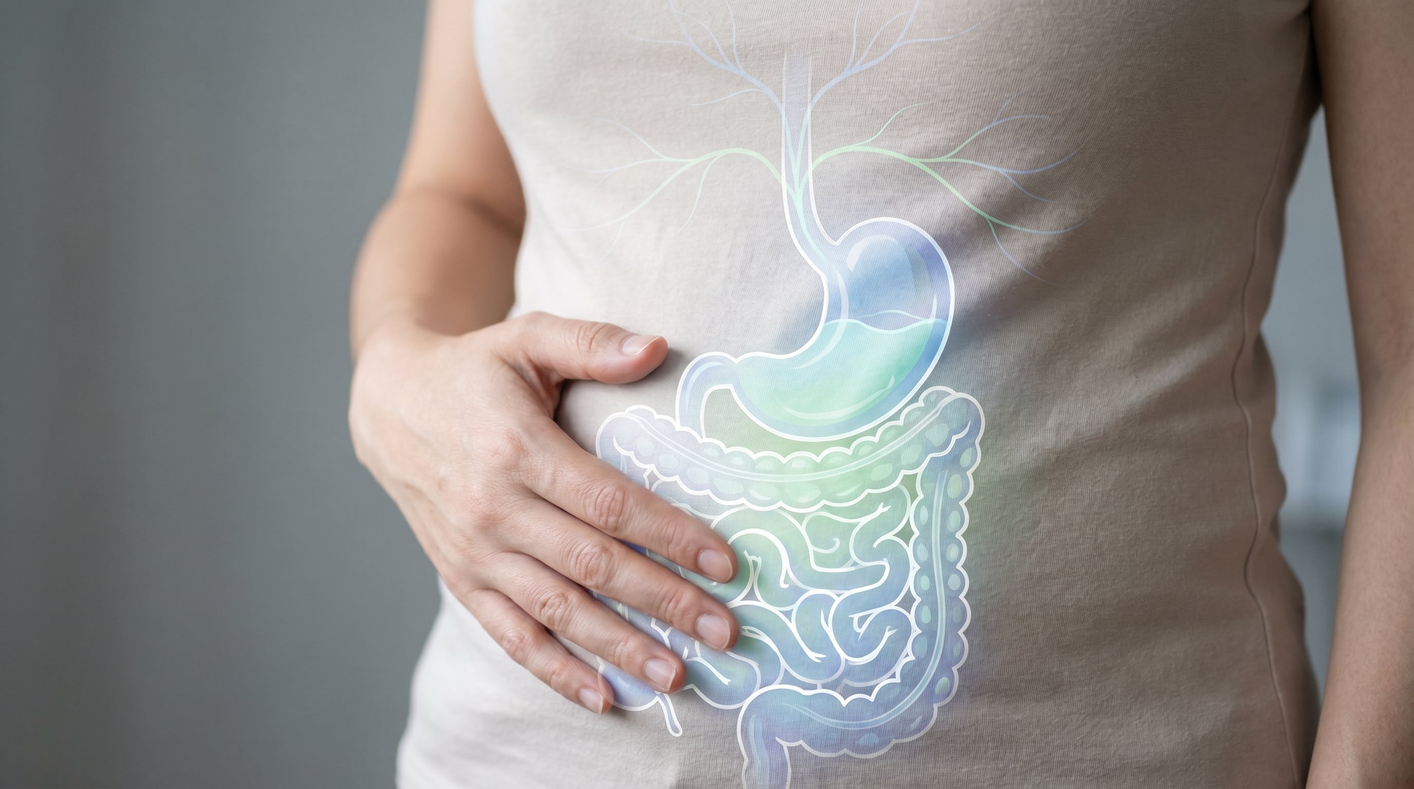 El Día Mundial de la Salud Digestiva busca concienciar sobre la prevención y el tratamiento de enfermedades gastrointestinales (Imagen Ilustrativa Infobae)
