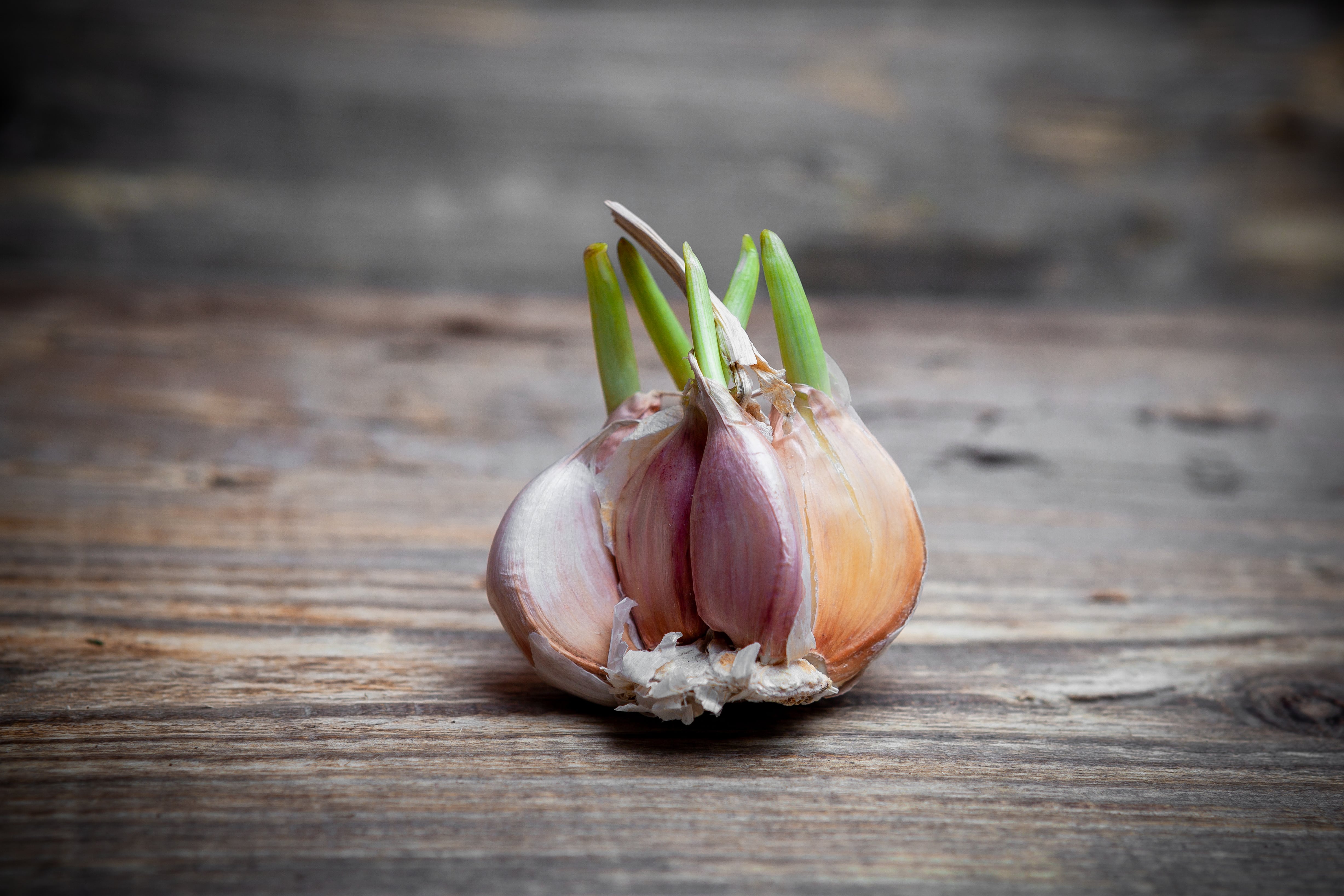 Diferentes investigaciones y un metaanálisis sugieren que el ajo, especialmente en suplementos o crudo, contribuye a la reducción de colesterol LDL (Freepik)
