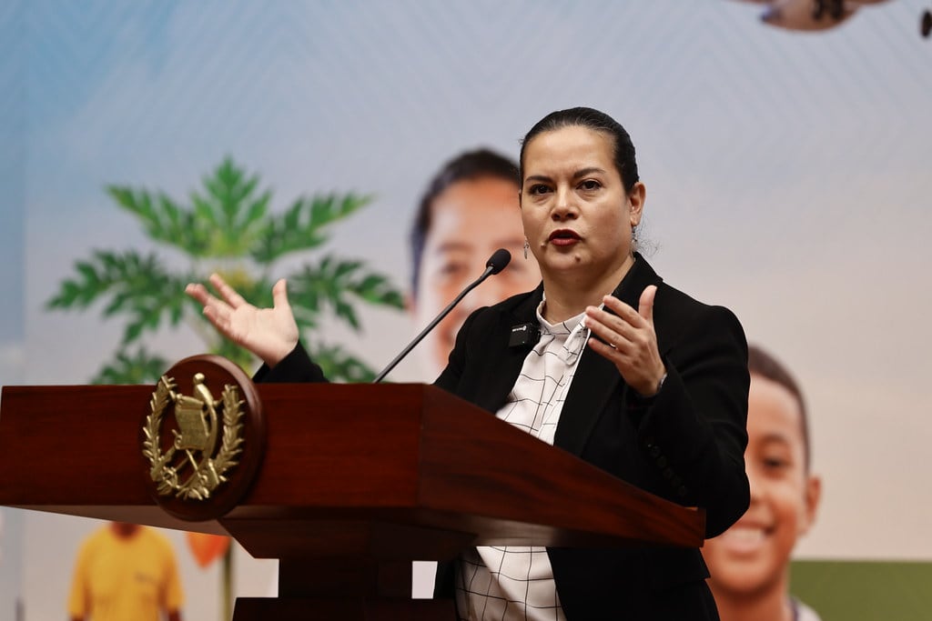 El Ministerio de Agricultura de Guatemala descartó la compra de fertilizantes para 2026 tras un recorte presupuestario de Q58 millones para cubrir subsidio a combustibles. (Secretaría de Comunicación Social de la Presidencia)