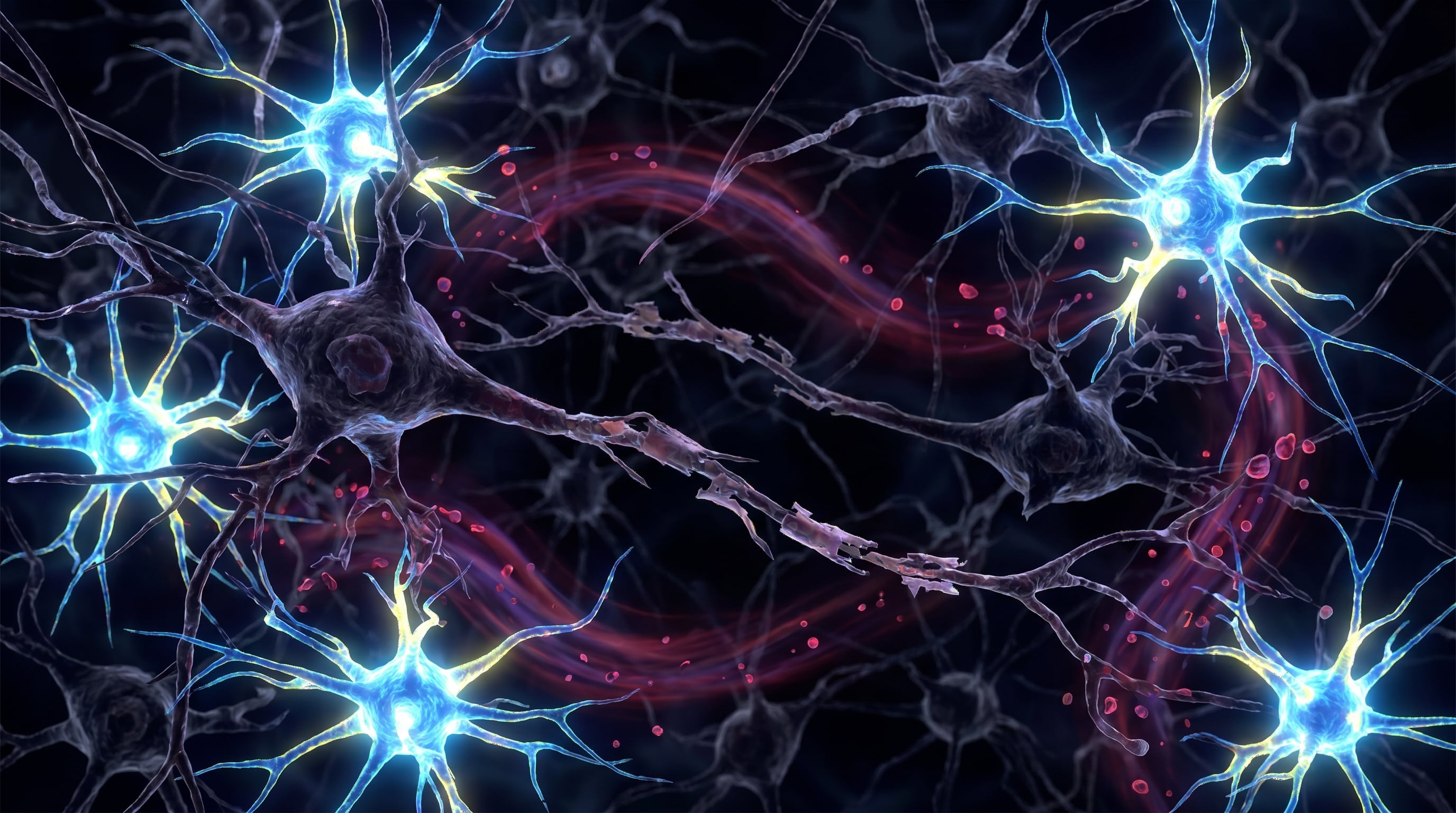 Cada minuto perdido en la atención de un ACV implica la destrucción de dos millones de neuronas, lo que agrava las secuelas y dificulta la recuperación (Imagen Ilustrativa Infobae)