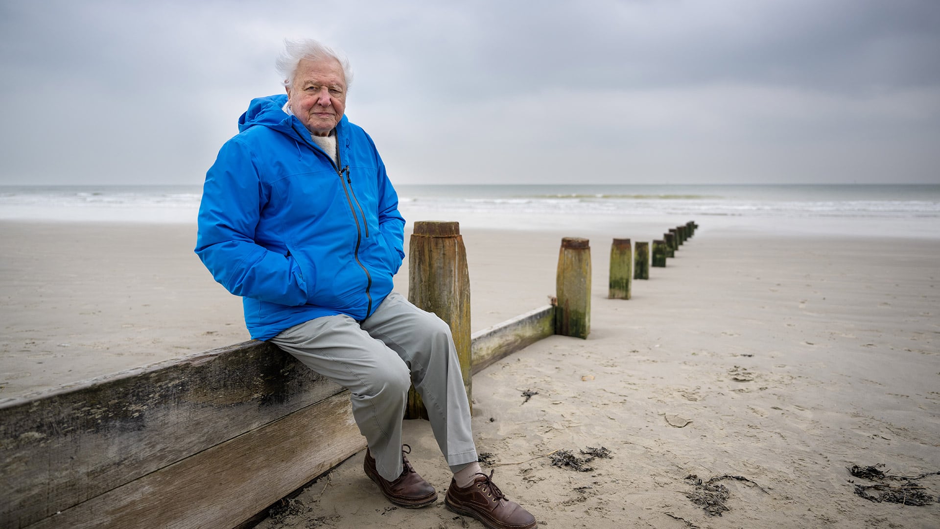 Las expediciones y filmaciones por selvas, océanos y polos mantuvieron a Attenborough físicamente activo y mentalmente estimulado por décadas (Archivo Conor McDonnell)