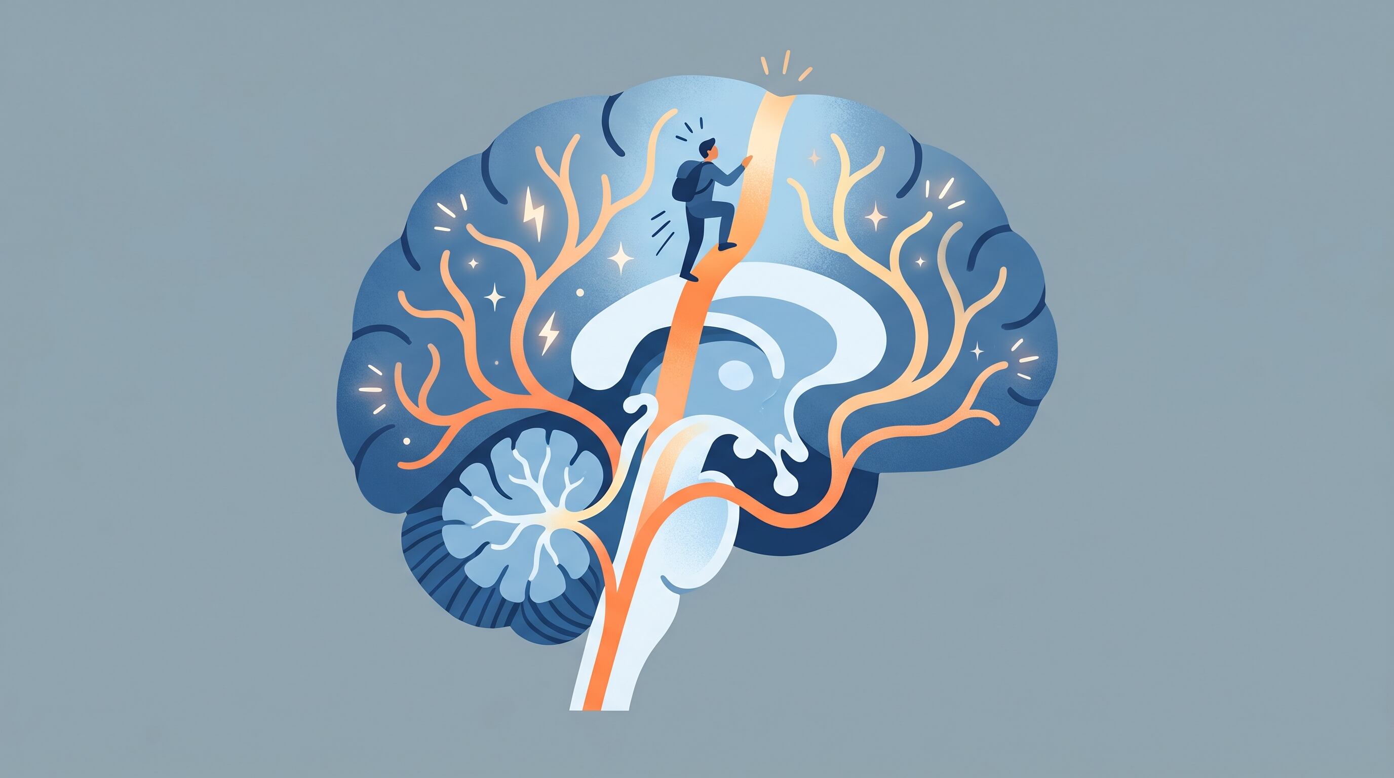 La dopamina actúa como neurotransmisor clave en el cerebro, asociado con placer, motivación y refuerzo de conductas (Imagen Ilustrativa Infobae)