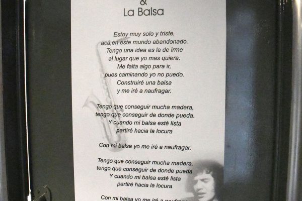 Electroshocks en el Borda, canciones olvidadas y una huida por las vías del tren: el triste final de Tanguito