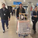 Encontraron encomiendas con cocaína en Ezeiza: tras una entrega controlada, detuvieron a tres franceses en París y Montevideo