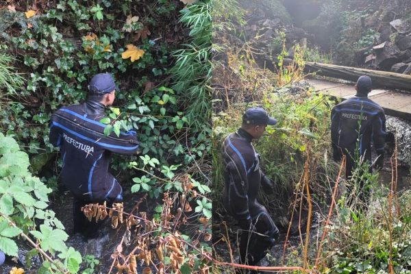 Encontraron restos humanos en un barranco en Bariloche e investigan si pertenecen a Analía Corte