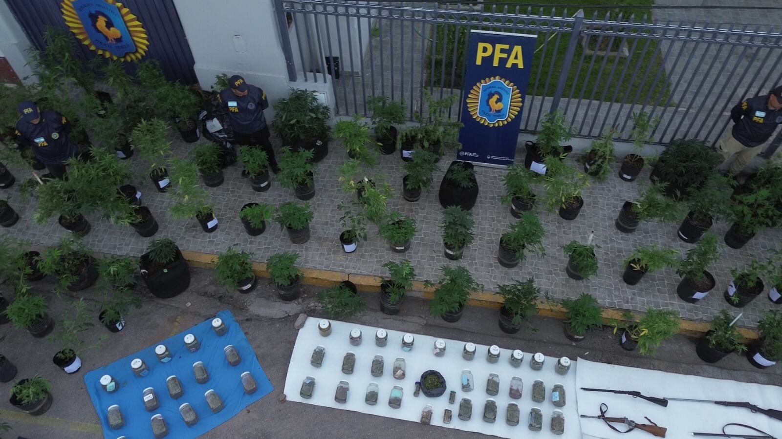 La PFA secuestró marihuana, armas y vehículos