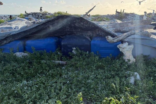 Fuerza Naval de Honduras decomisa 3,900 galones de combustible ocultos en el Caribe hondureño