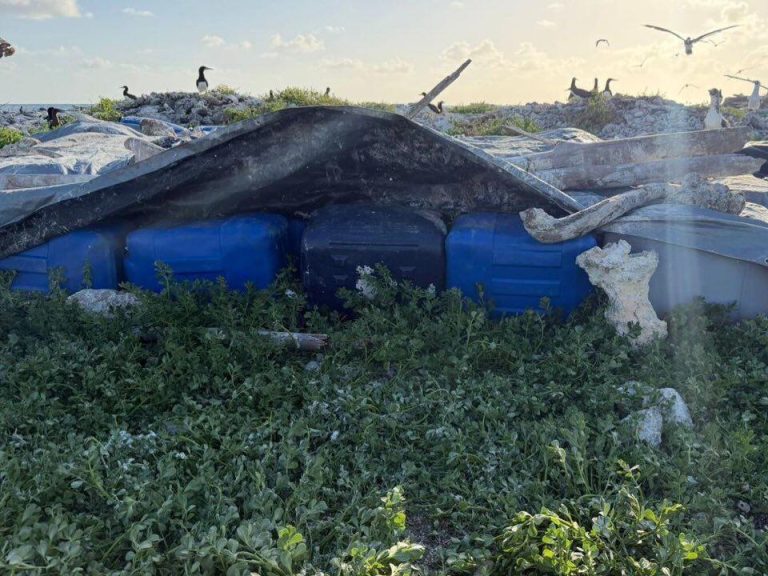 Fuerza Naval de Honduras decomisa 3,900 galones de combustible ocultos en el Caribe hondureño