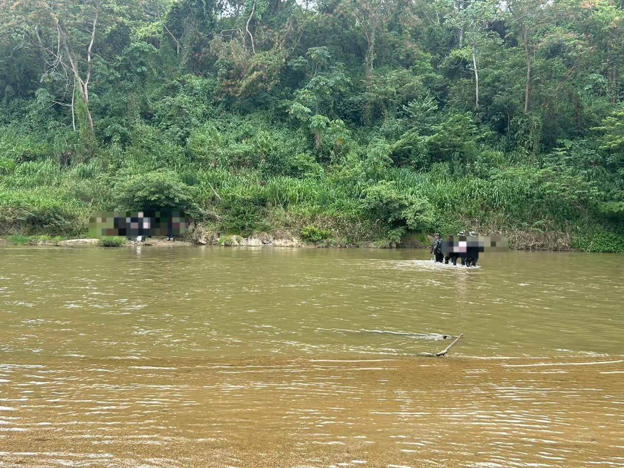Honduras: Hallan plantación de 16 mil 500 arbustos de coca en Bonito Oriental, Colón