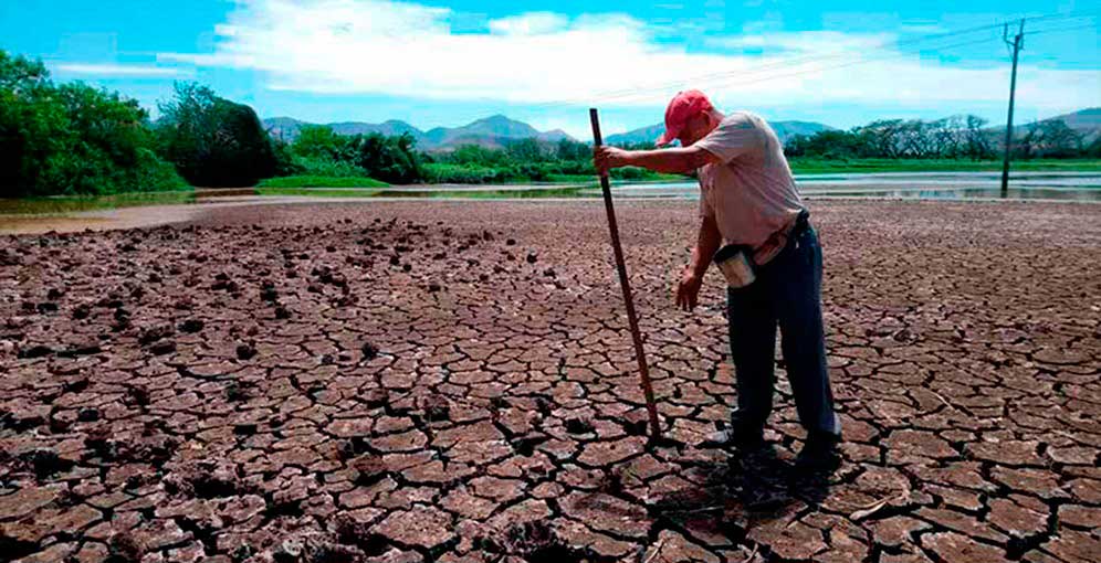 Productores esperan la aprobación de un decreto que permita acceso a crédito y seguro agrícola subsidiado. (Foto: Archivo)