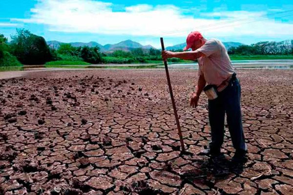 Incertidumbre y temor frenan la siembra en Honduras: productores advierten riesgo de escasez de granos básicos