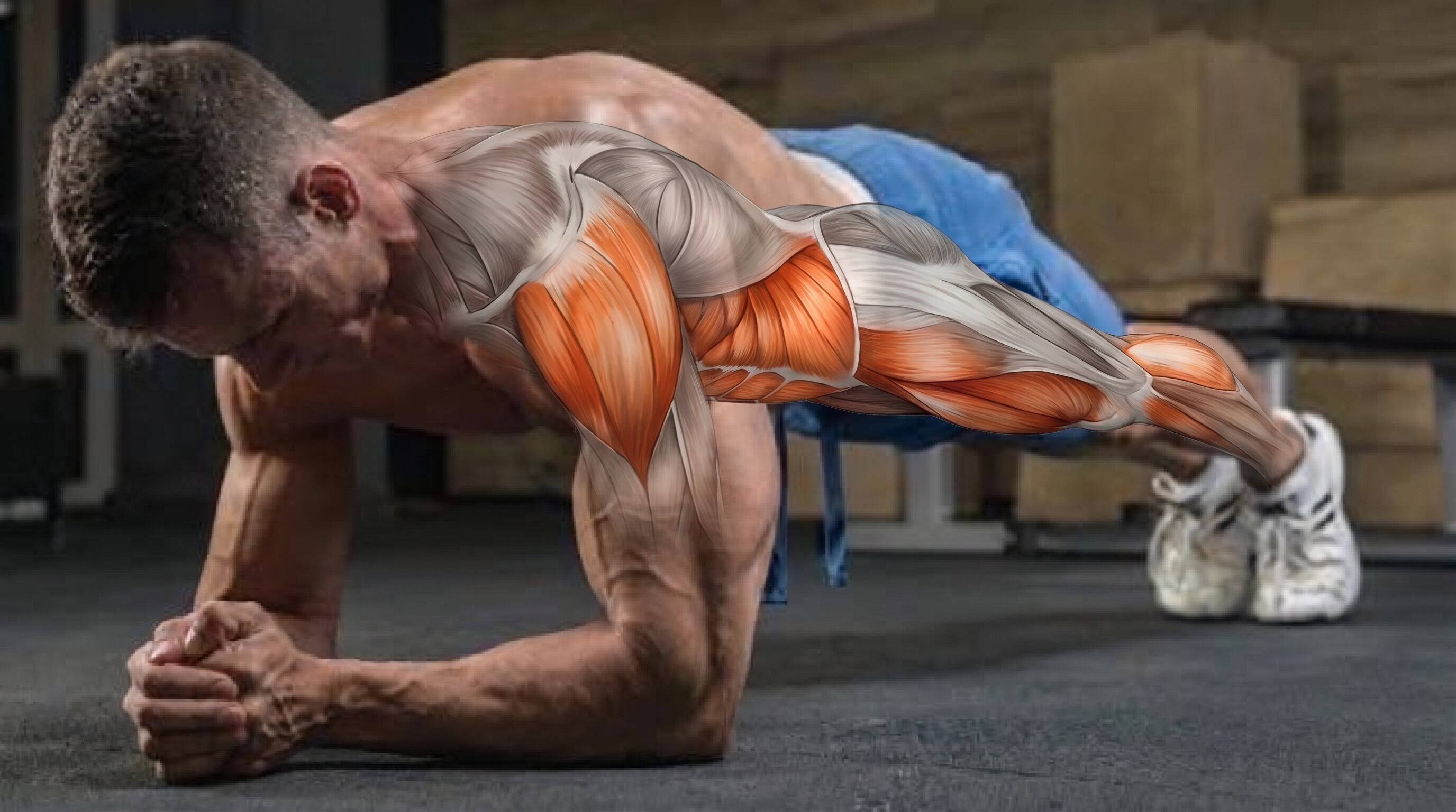 Los especialistas recomiendan mantener la plancha abdominal entre 10 y 30 segundos por serie, priorizando la calidad sobre la cantidad de tiempo para evitar lesiones (Imagen Ilustrativa Infobae)