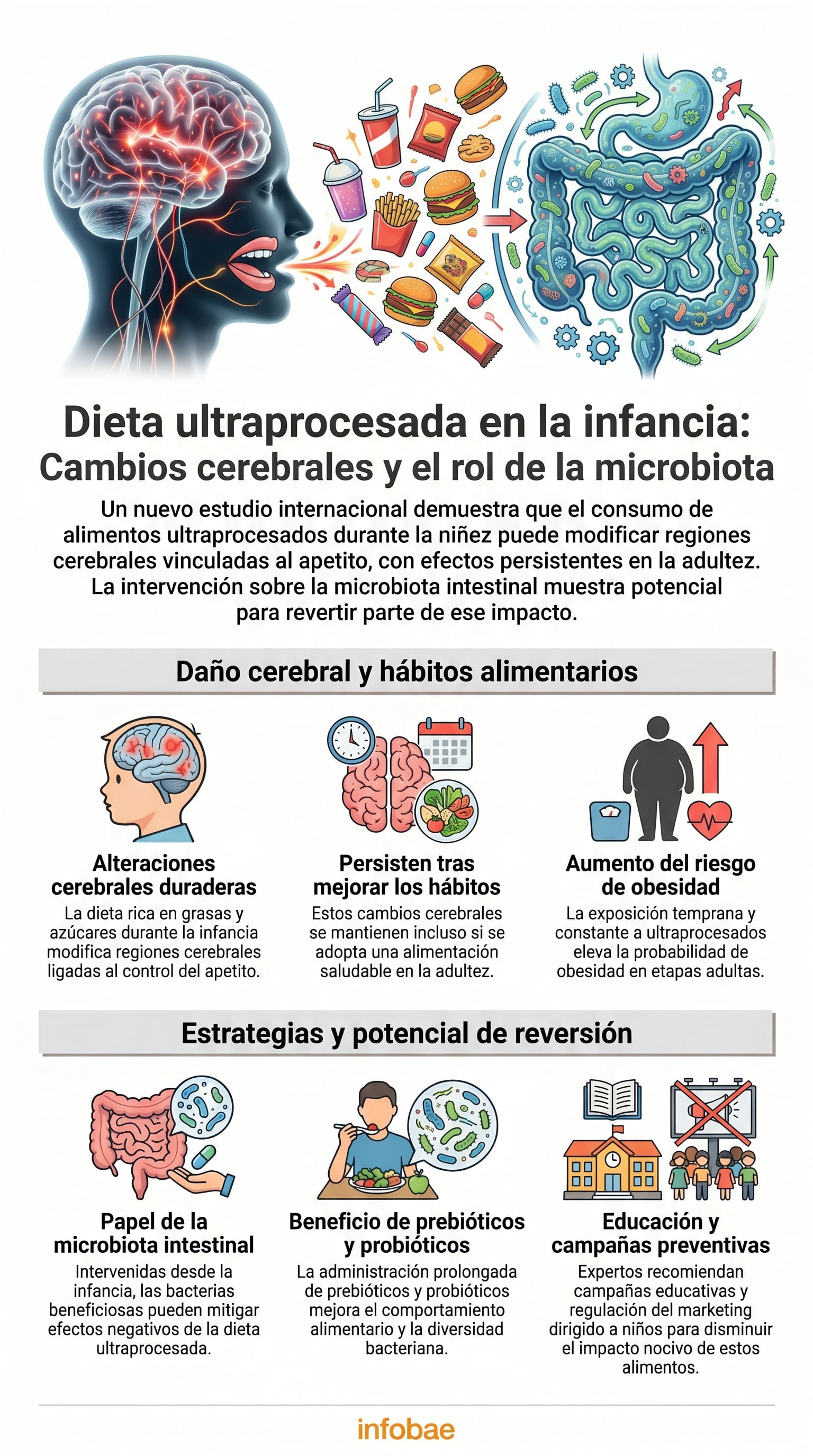 El trabajo conjunto de universidades internacionales resalta la necesidad de limitar estos alimentos en la infancia (Imagen Ilustrativa Infobae)