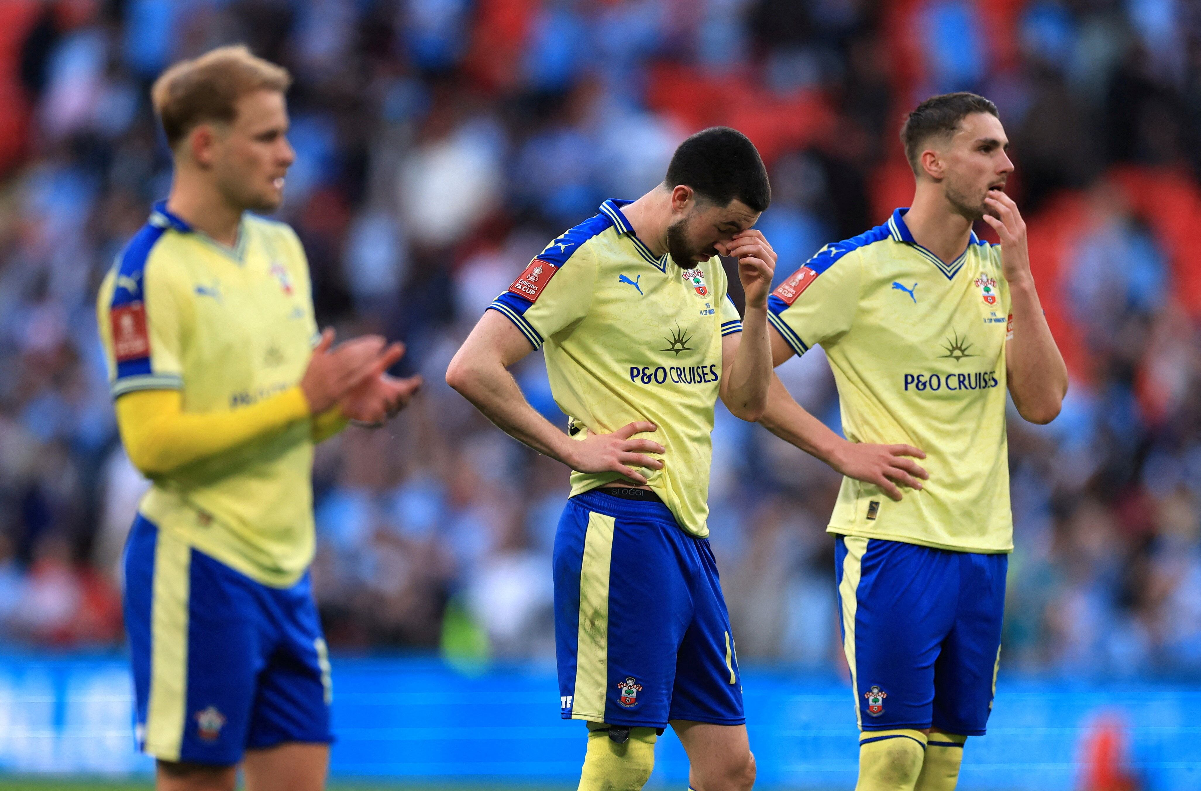 La EFL excluyó al Southampton de la final de la repesca y le restó cuatro puntos para la próxima temporada de la Championship (REUTERS/Paul Childs/File Photo)