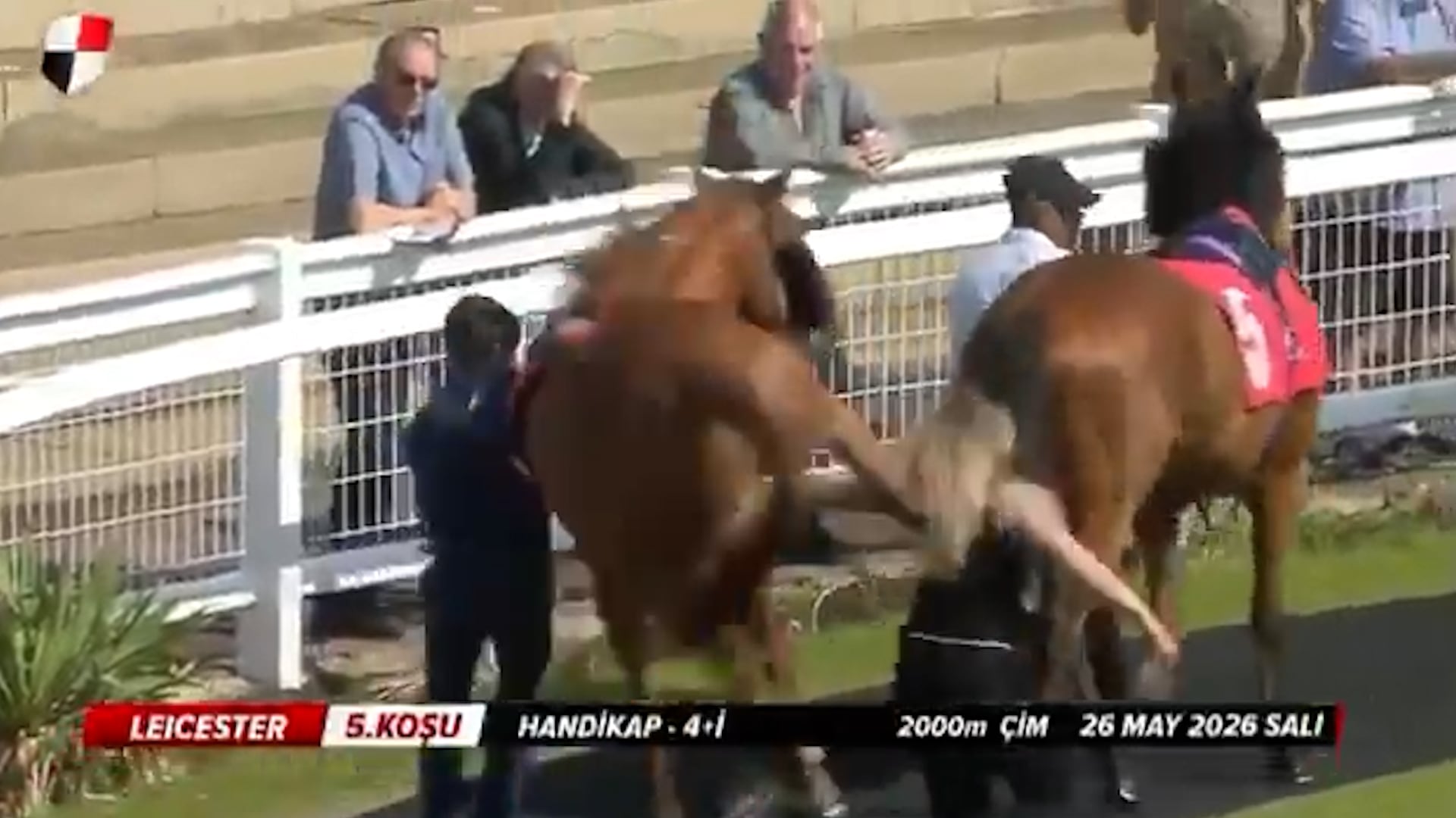 El momento en el que el caballo golpeó a la mujer
