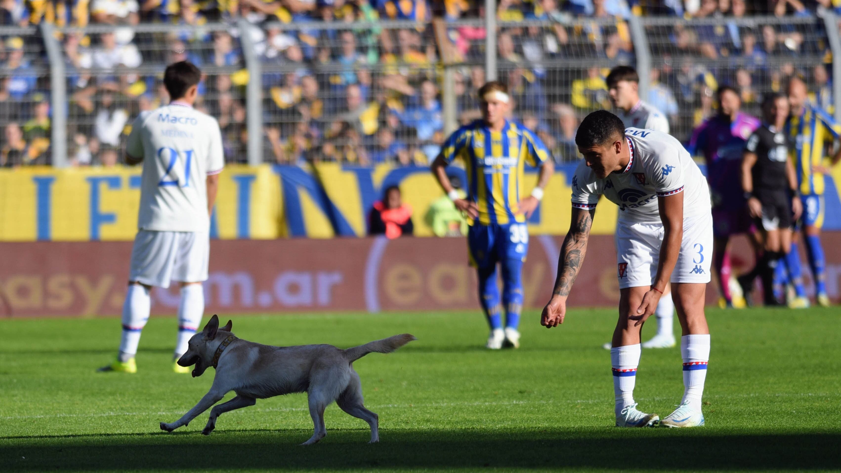 Coco se llevó la atención en el encuentro entre Central y Tigre que finalizó en empate (FOTOBAIRES)