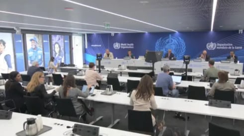 Según la OMS, el brote en el barco es un caso muy inusual, no hay evidencia de que pueda generar una epidemia de gran escala actualmente. (OMS) 
