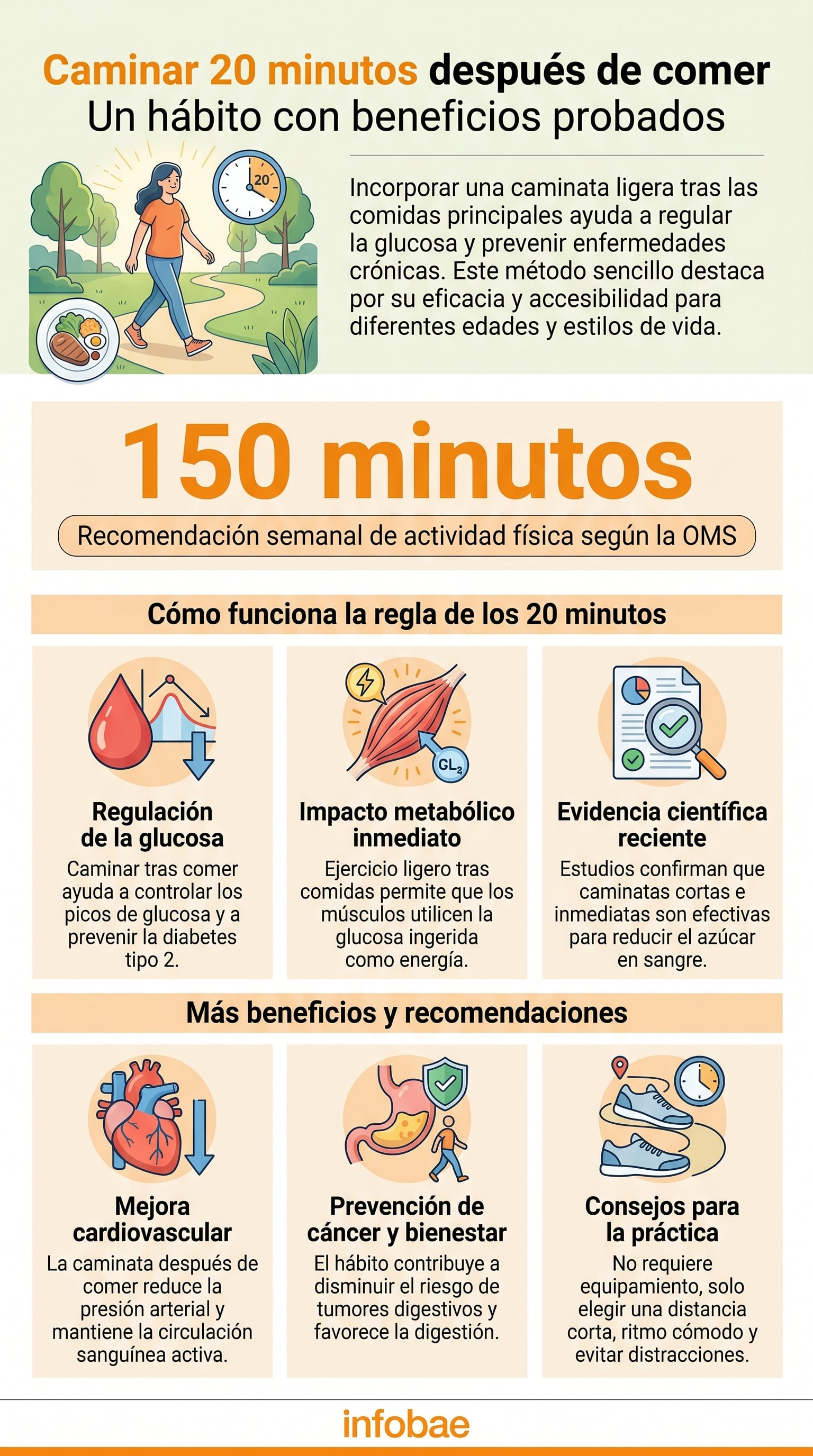 Infografía ilustra que la actividad física leve tras las comidas, sin exigir equipamiento especial, favorece la circulación, estabiliza los niveles de azúcar y aporta beneficios fundamentales (Imagen Ilustrativa Infobae)